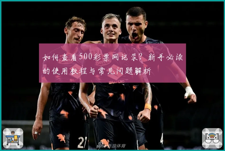如何查看500彩票网记录？新手必读的使用教程与常见问题解析