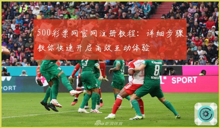 500彩票网官网注册教程:详细步骤教你快速开启高效互动体验